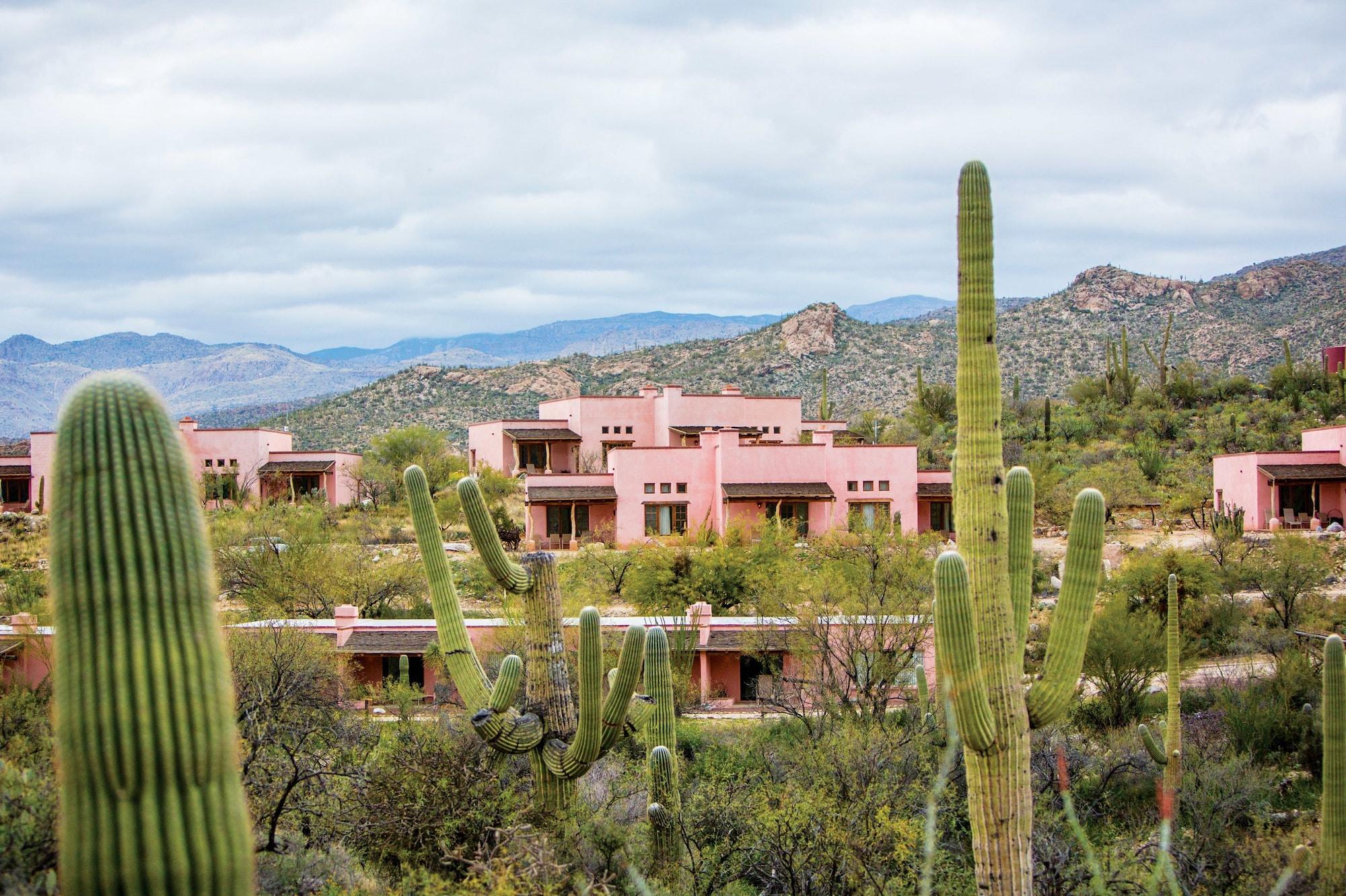 Tanque Verde Guest Ranch ツーソン エクステリア 写真