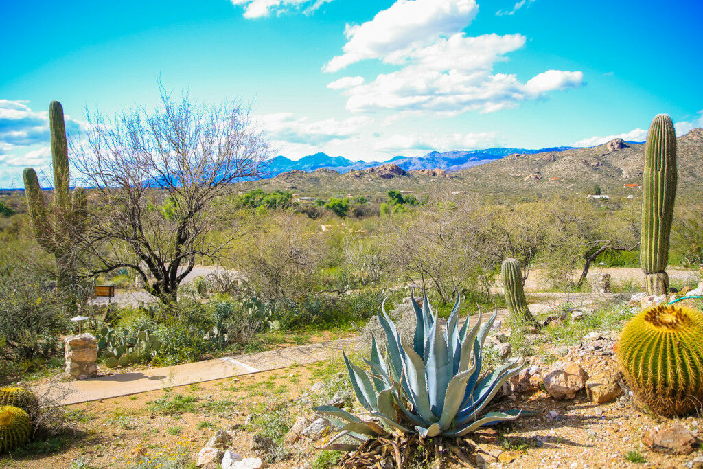 Tanque Verde Guest Ranch ツーソン エクステリア 写真